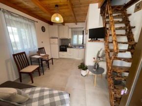 Ellin city apartments